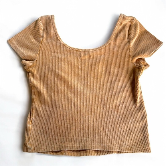 Wild Fable Tan Ribbed Women's Crop Top Medium Short Sleeves - Picture 2 of 7
